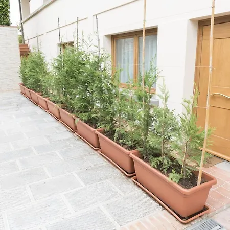 Cava Rossa Apartment Monsummano Terme