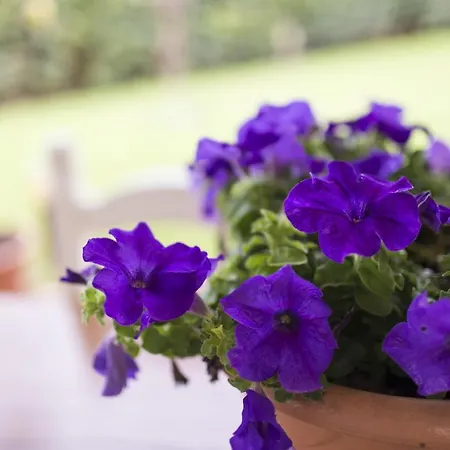 Cava Rossa Apartment