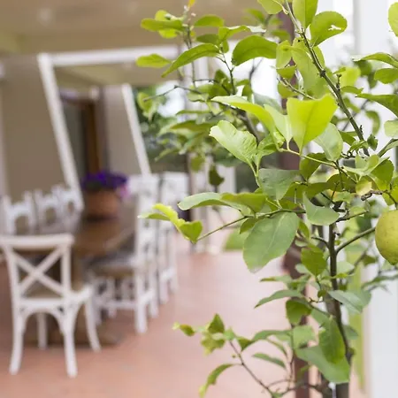 Cava Rossa Appartement
